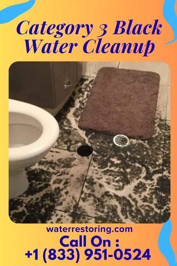 Category 3 Black Water Cleanup in Valley, NE