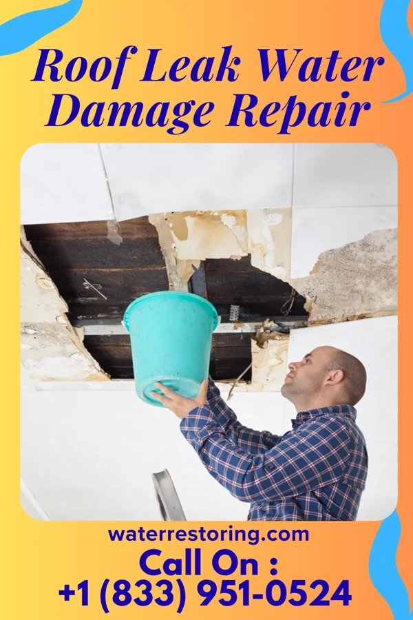 Roof Leak Water Damage Repair in Valley, NE